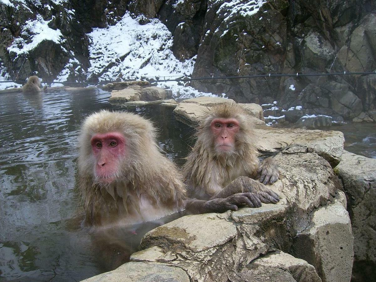 Lodge Jun Hakuba Dış mekan fotoğraf